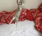 Wow  What\'s happening.webp