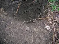 DSCN5784.webp