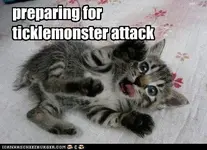 funny-pictures-kitten-prepares-for-attack.webp