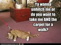 funny-pictures-ultimatums.webp