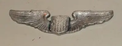 Wings.webp