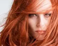 images.webp