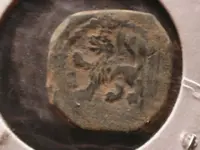 DSCN3382.webp