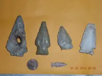 DSCN5202.webp