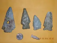 DSCN5203.webp
