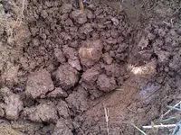 rsz_1230111312 (1).webp