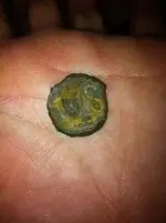 button.webp
