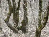 DSCN1637.webp