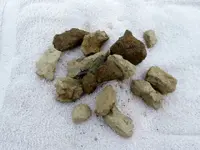 Charcoal from CS Campfires.webp