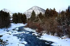 2-29a.webp
