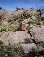 Monument 1.webp