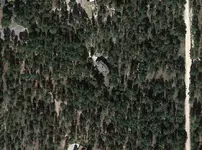 bforest2012.webp