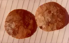 Round-Flint-Stones.webp