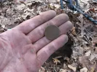 feb 1 2012 032.webp