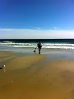 beach2.webp
