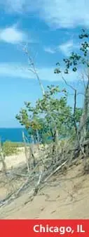 chicago.webp