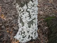 feb 1 2012 028.webp