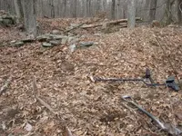 feb 1 2012 021.webp