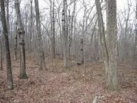 feb 1 2012 017.webp