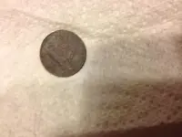 Coin 2.webp