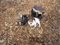feb 1 2012 003.webp