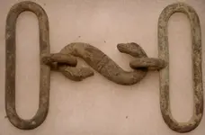 snake.webp