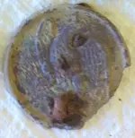 Romanseaglebreastplate.webp