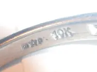 DSCN2935.webp