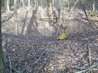 FEB 14TH 2 COPPER DAY 008.webp
