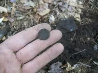 FEB 14TH 2 COPPER DAY 004.webp