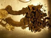 FEB 14TH 2 COPPER DAY 014.webp
