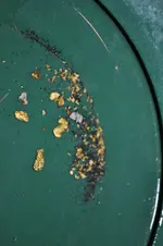 Randolph Co. NC Gold Panning.webp
