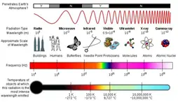 emf1.webp