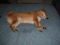 100_3888.webp