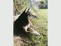 Yoshi 10.18.09.webp