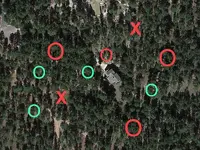 bforest2012LG-djmzsunshine.webp