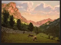 05290v.webp