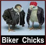 BikerChicks.webp