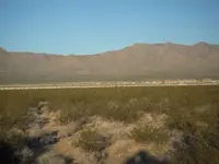 DSCN2951.webp