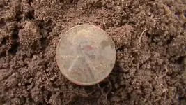 M1410001.webp