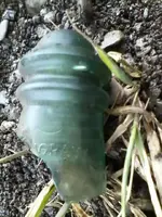 glass insulator.webp