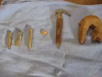 March 19th, 2012 Finds 001-1.webp