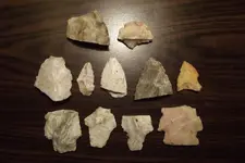 DSCF3210.webp