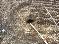 ricockethole.webp