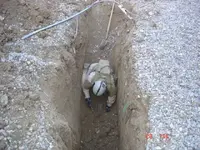 digging.webp