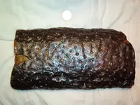 Fossils 016.webp