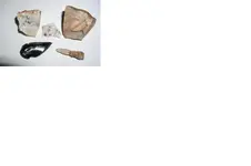untitled.webp