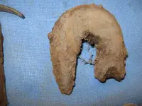 March 19th, 2012 Finds 004-1.webp