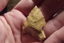 DSCF3218.webp