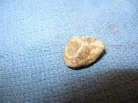 March 19th, 2012 Finds 009-1.webp